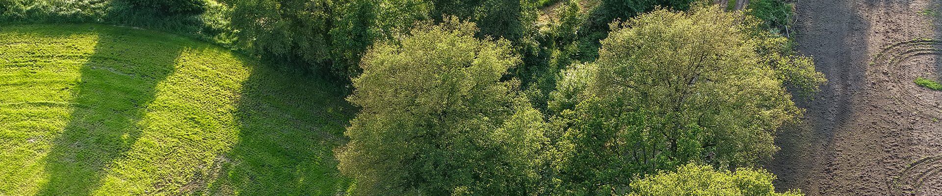 Drohnenblick Hamburg - Borstel-Hohenraden