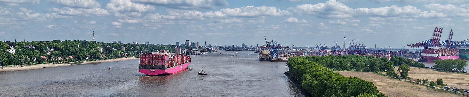 Drohnenblick Hamburg - Bubendey Ufer