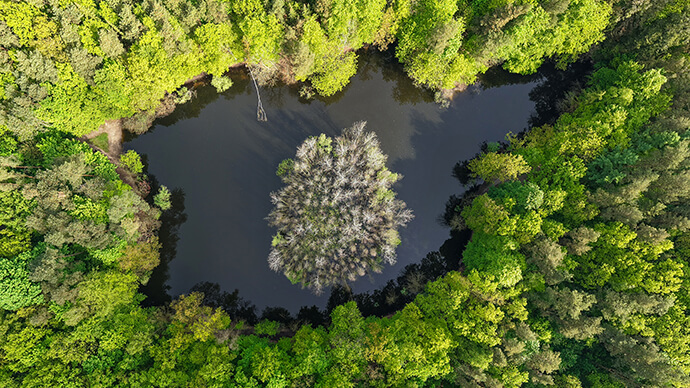 Drohnenblick Hamburg - Projekt