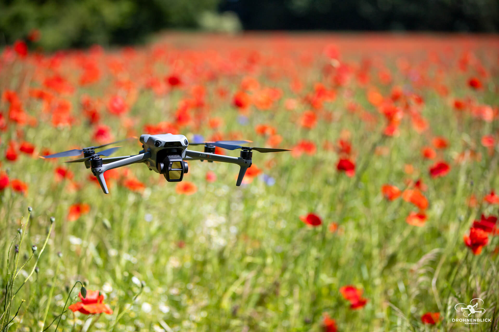 DJI Air 3S - Mohnfeld